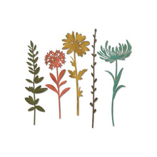 Load image into Gallery viewer, Tim Holtz Wildflower Stems #1 Thinlits Dies By Sizzix - 664163 Flowers