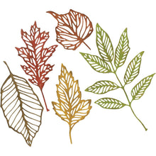 Load image into Gallery viewer, Tim Holtz Skeleton Leaves Thinlits Dies By Sizzix 5/Pkg - 663094