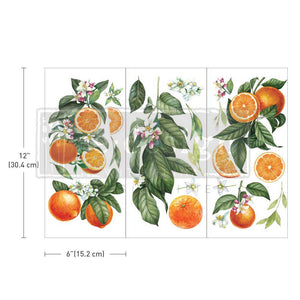 Prima Marketing Re-Design Citrus Slice Small Decor Transfer Sheets - 6"X12" 3/Sheets ReDesign