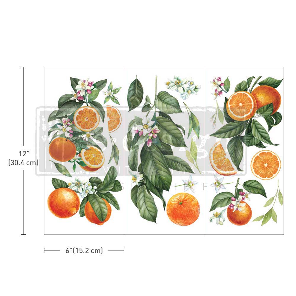 Prima Marketing Re-Design Citrus Slice Small Decor Transfer Sheets - 6