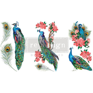 Prima Marketing Re-Design Royal Peacock Small Decor Transfer Sheets - 6"X12" 3/Sheets