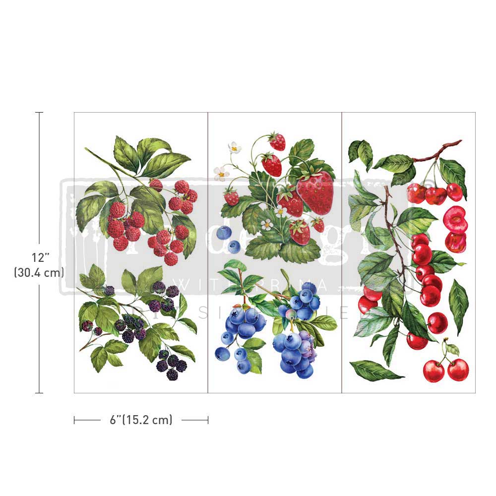 Prima Marketing Re-Design Sweet Berries Small Decor Transfer Sheets - 6