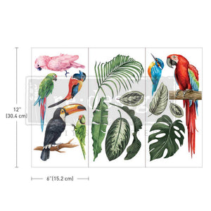 Prima Marketing Re-Design Tropical Birds Small Decor Transfer Sheets - 6"X12" 3/Sheets ReDesign