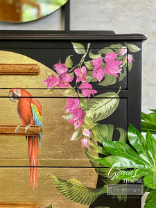 Prima Marketing Re-Design Tropical Birds Small Decor Transfer Sheets - 6"X12" 3/Sheets ReDesign