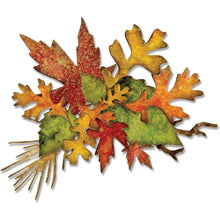 Load image into Gallery viewer, Tim Holtz Fall Foliage Thinlits Dies By Sizzix 14/Pkg - 660955 Leaves Leaf Tree
