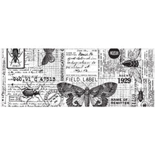 Load image into Gallery viewer, Tim Holtz Idea-ology: Entomology Collage Paper - TH94120
