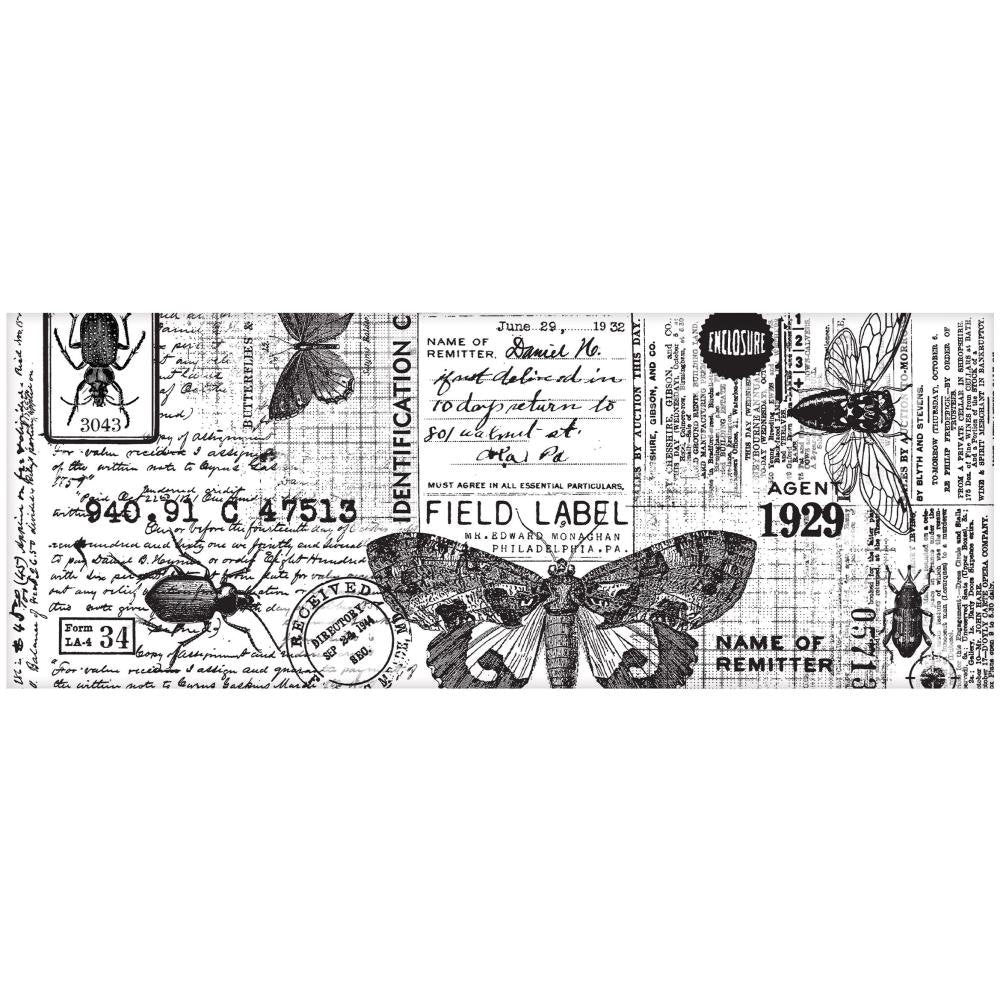 Tim Holtz Idea-ology: Entomology Collage Paper - TH94120